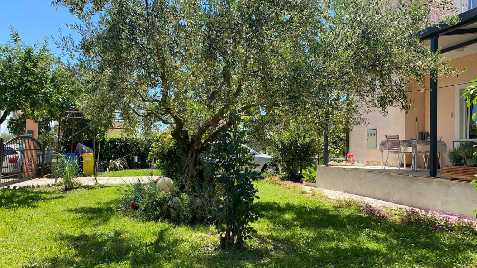 Apartment Gracijana Poreč Zewnętrze zdjęcie