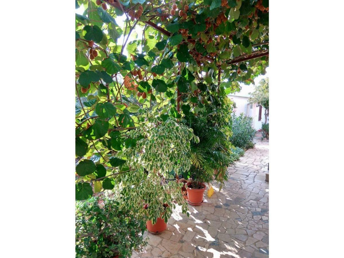 Apartment Gracijana Poreč Zewnętrze zdjęcie